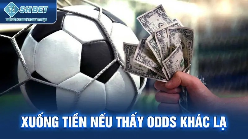 Xuống tiền nếu thấy odds khác lạ